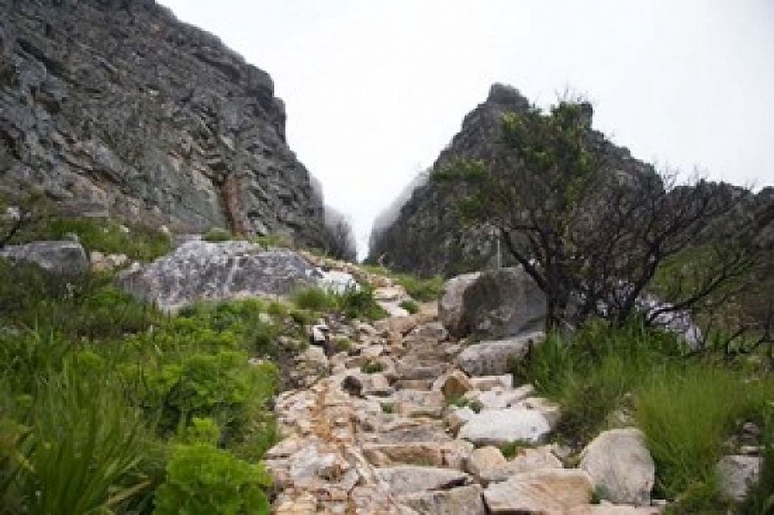 Hiking Up Table Mountain Cape Town Cape Peninsula South Africa Canvas Art - Micah Wright DanitaDelimont (17 x 11)