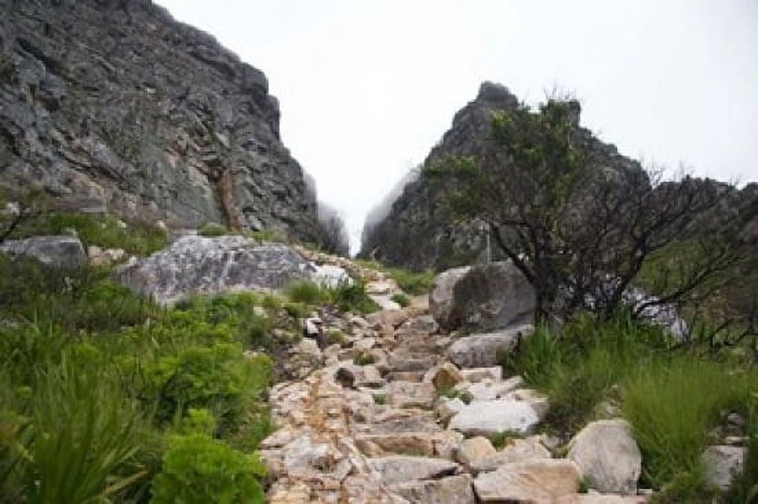 Hiking Up Table Mountain Cape Town Cape Peninsula South Africa Canvas Art - Micah Wright DanitaDelimont (34 x 23)