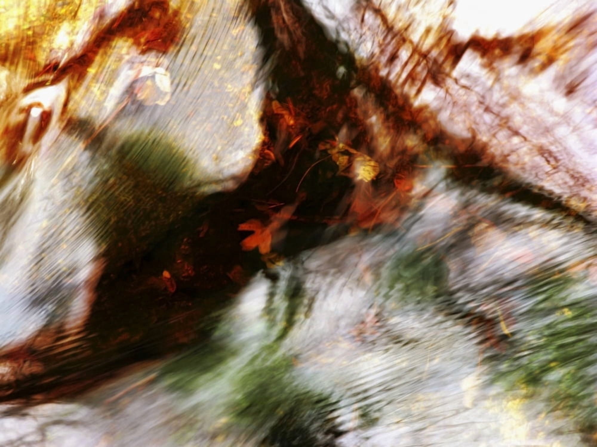 Hikiwarekega Massachusetts Seekonk Caratunk Wildlife Refuge Colorful Reflections On Water Canvas Art - Joanne Baldaia Design Pics (32 x 24)