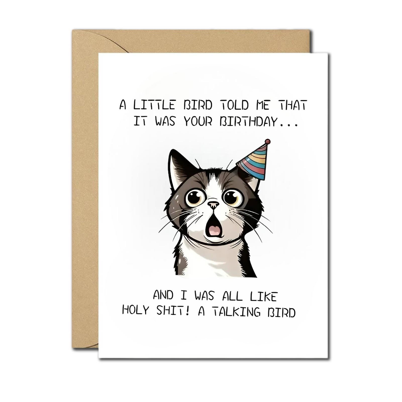 Hilarious Cat Birthday Card - Blank Inside with Envelope - Perfect for Cat  Lovers - Walmart.com, image size:1600x1600