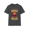 thumbnail image 1 of Hilarious Like My Meats Rubbed And My Pork Pulled Humorously Novelty Amusing Grill Broiling Charbroil Lover Unisex Softstyle T-Shirt, 1 of 4