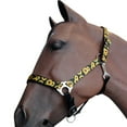 thumbnail image 1 of Hilason 1 Inch Fully Adjustable Halter SunFlower Polyester, 1 of 4