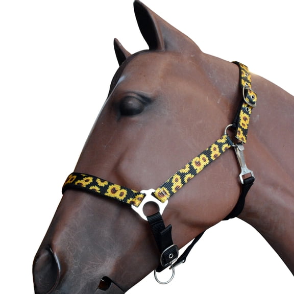 Hilason 1 Inch Fully Adjustable Halter SunFlower Polyester