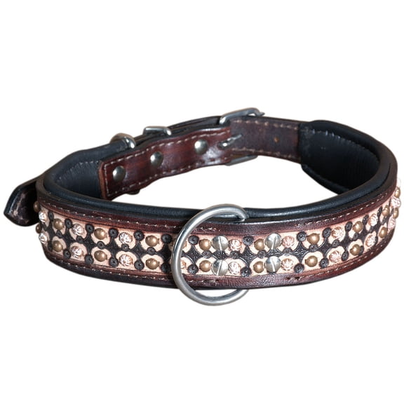 Hilason Heavy Duty Genuine Leather Dog Collar Dark Brown Small