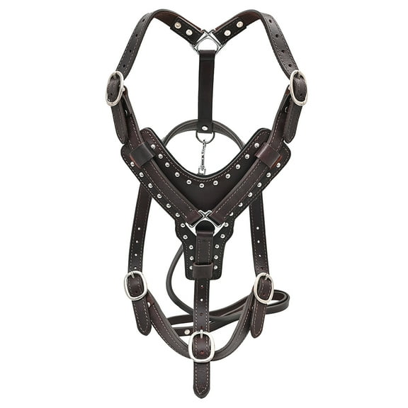Hilason Mahogany Padded Genuine Leather Dog Harness W/ Matching Leash Xs