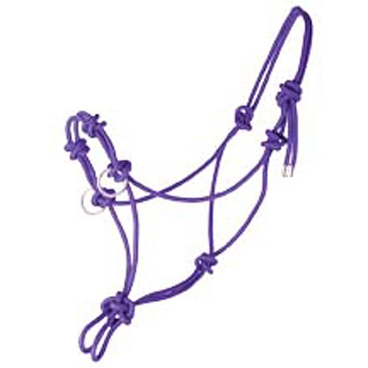 Hilason Western Horse Side Pull Rope Halter W/ Nickel Plated Rings ...