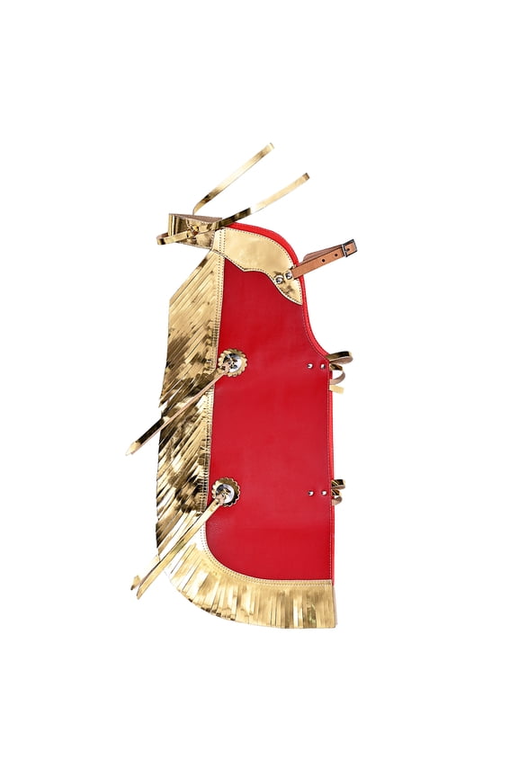 Western Leather Kids Junior Youth Pro Rodeo Bull Riding Chaps