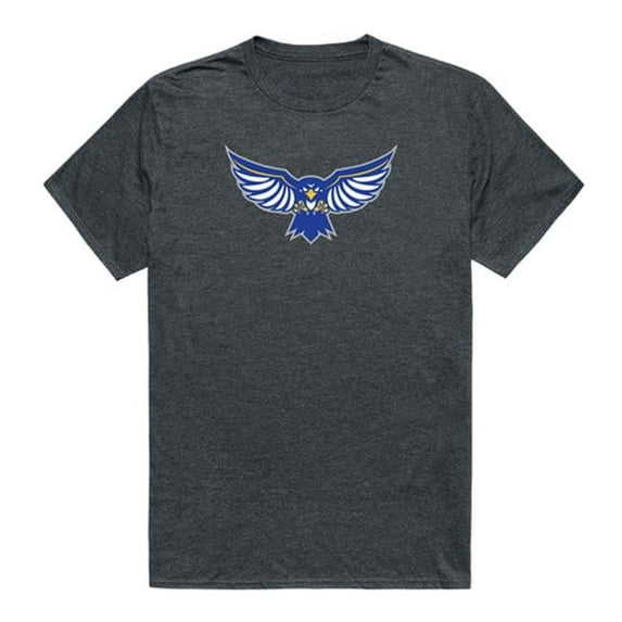 Hilbert College Hawks Cinder College T-Shirt, Heather Charcoal - 2XL