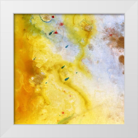 Hile, Scott 26x26 White Modern Wood Framed Museum Art Print Titled - Untitled 30B