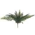 thumbnail image 1 of Hill Interiors Artificial Fern Bunch, 1 of 4