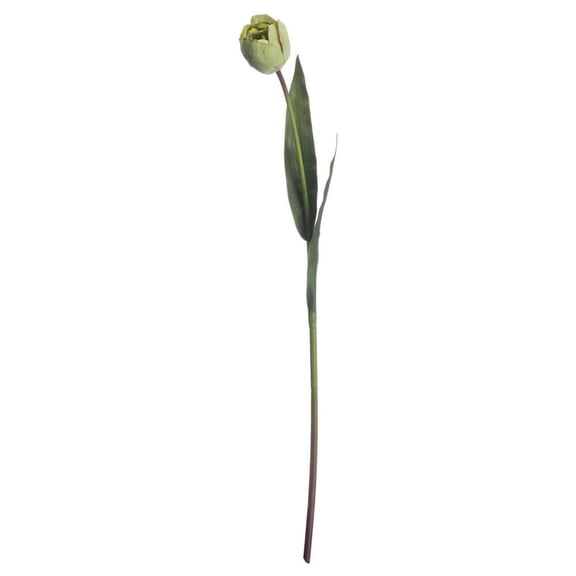 Hill Interiors Artificial Green Tulip Plant
