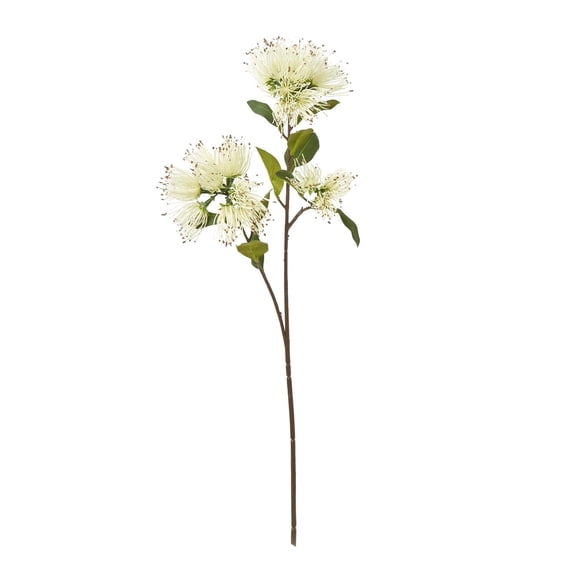 Hill Interiors Protea Nitida Stem Artificial Flower Spray