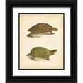 thumbnail image 1 of Hill, J.W. 15x18 Black Ornate Wood Framed with Double Matting Museum Art Print Titled - Turtle Duo IV, 1 of 4