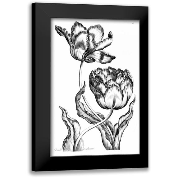 Hill, John 11x14 Black Modern Framed Museum Art Print Titled - Double Oriflamme