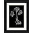 thumbnail image 1 of Hill, John 17x24 Black Ornate Wood Framed with Double Matting Museum Art Print Titled - Sanguineous Colchicum, 1 of 4