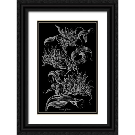 Hill, John 22x32 Black Ornate Wood Framed with Double Matting Museum Art Print Titled - Imperial Gloriosa