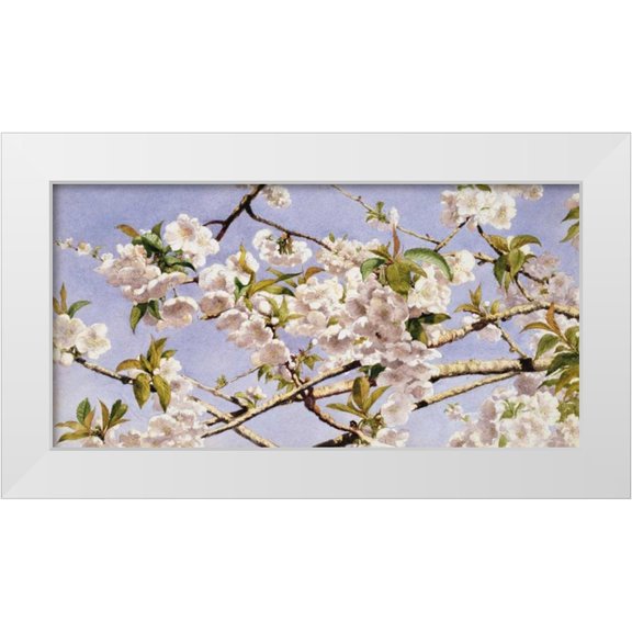 Hill, John William 14x9 White Modern Wood Framed Museum Art Print Titled - Apple Blossoms