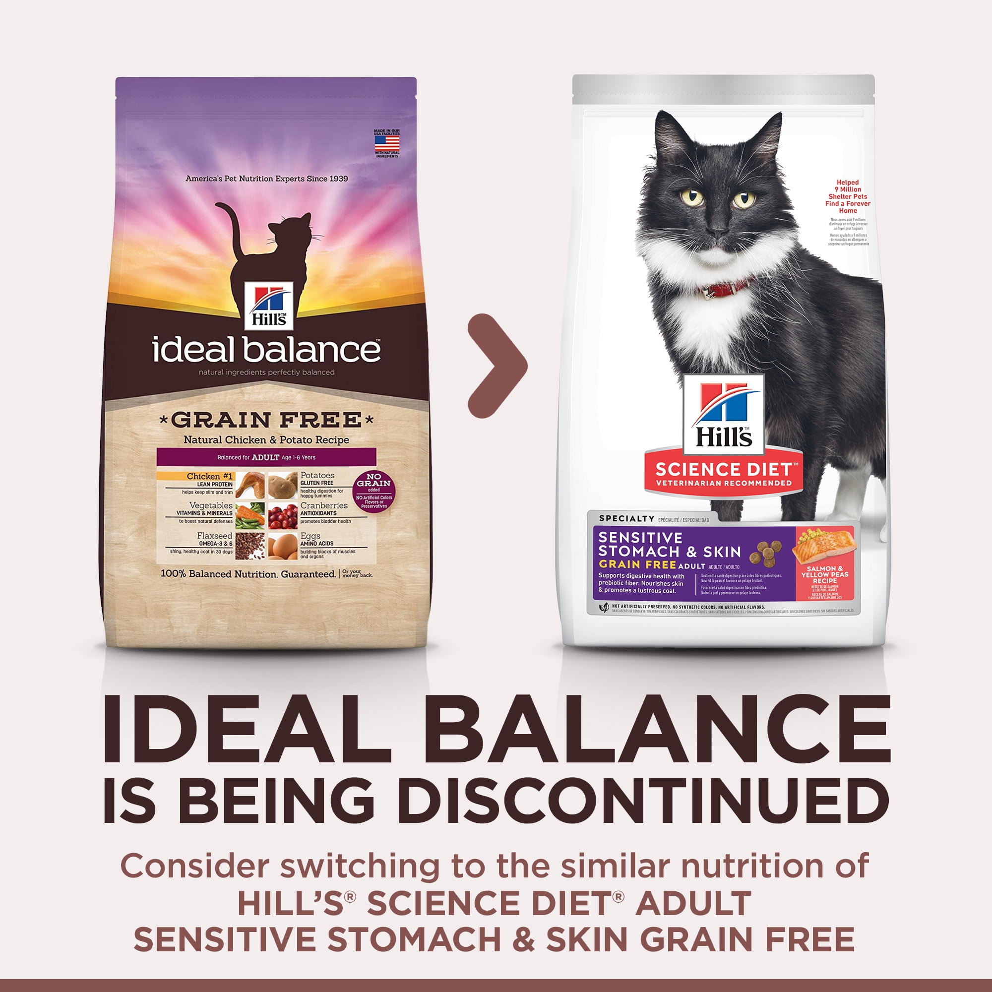 Hill's ideal balance clearance natural cat food