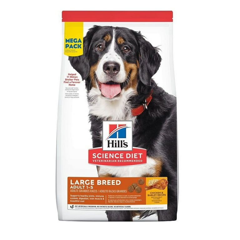 Hills top adult dog