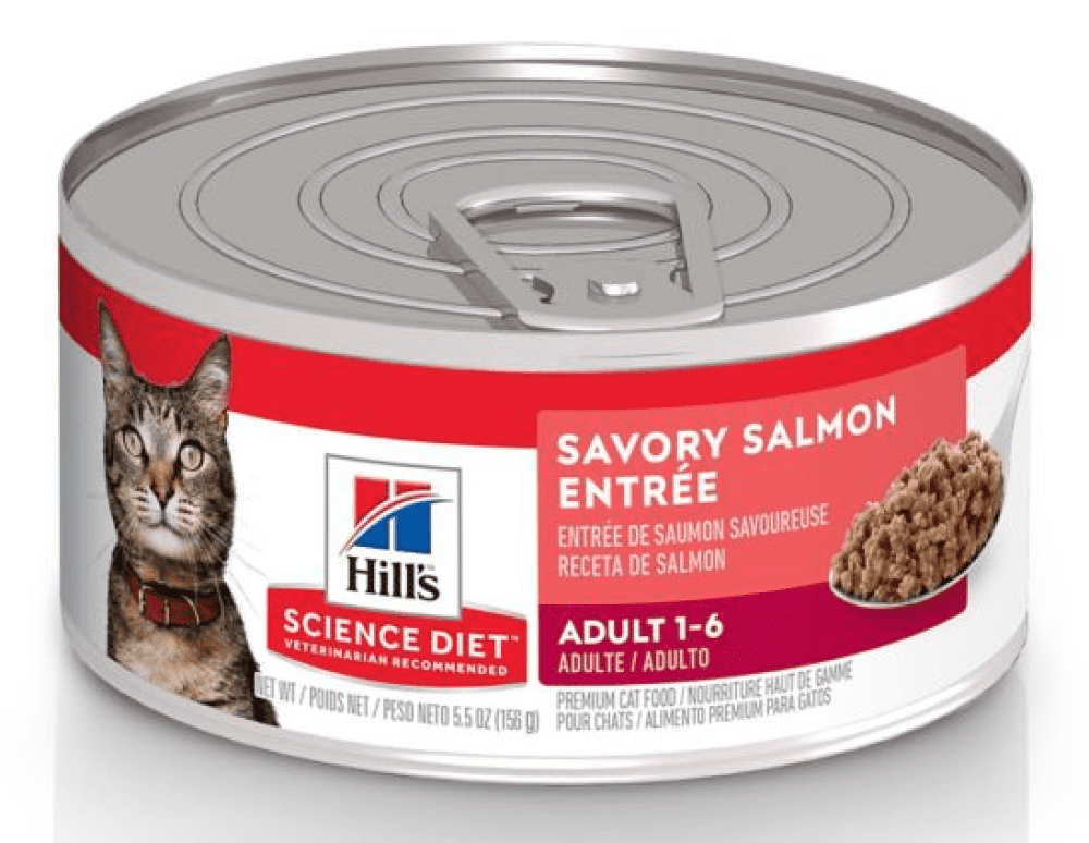 Hill's Science Diet Adult Savory Minced Salmon 5.5oz Wet Cat Food 1 Single Can