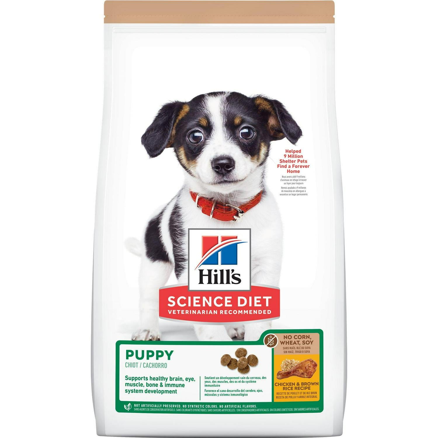 Eukanuba puppy food walmart online