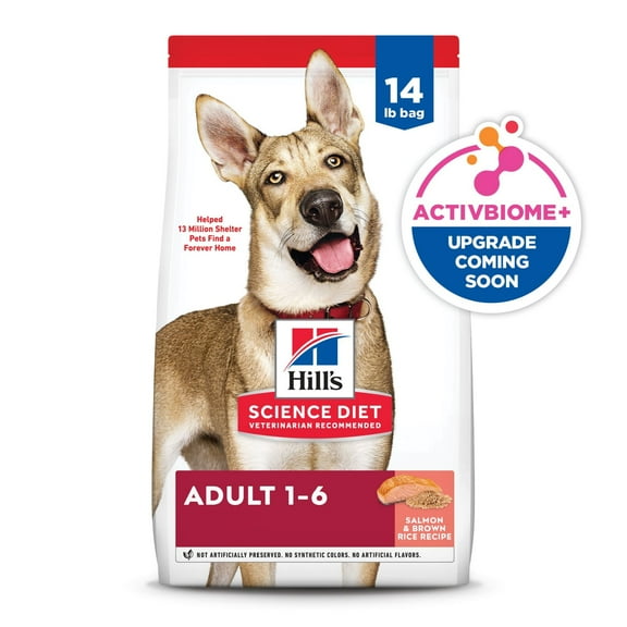 Hill's Science Diet Salmon & Brown Rice Recipe Dry Dog Food, 14 lb Bag