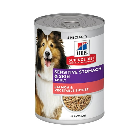 Hill's Science Diet Sensitive Stomach & Skin Salmon & Vegetable Wet Dog Food, 12.8oz Can 12pk