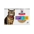 thumbnail image 1 of Hill's Science Diet Sensitive Stomach & Skin Wet Cat Food Variety Pack, 2.9oz Can 12pk, 1 of 7