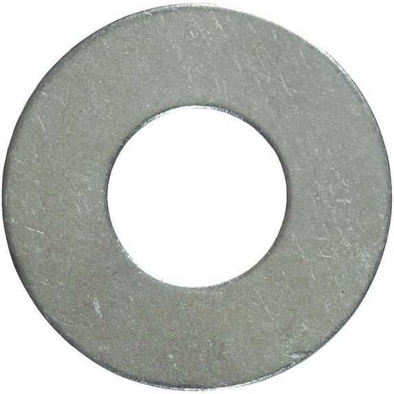 Hillman 59577 0.31 in. Stainless Steel Flat Washer, Pack of 100