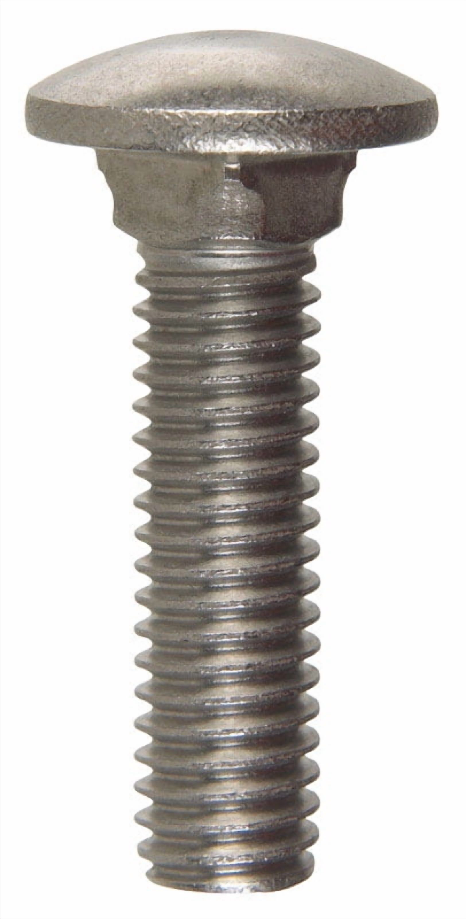 Hillman 59210 0.375 in. Dia. x 1.5 in. Stainless Steel Carriage Bolt - Pack of 25