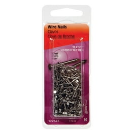 Hillman 1 in. Wire Bright Steel Nail Flat Head Hillman 1 in. Wire Bright Steel Nail Flat Head