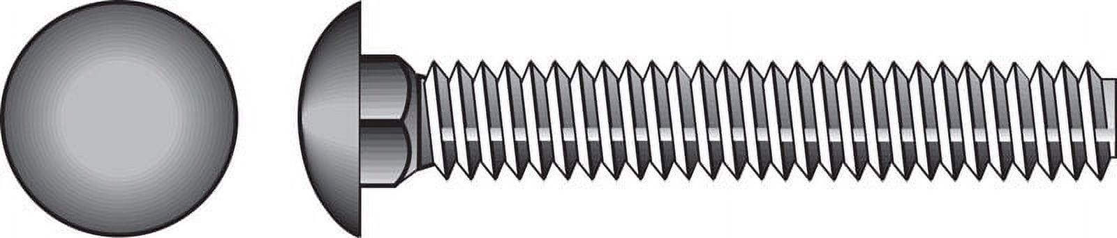 Hillman 1/4" Stainless Steel Carriage Bolt