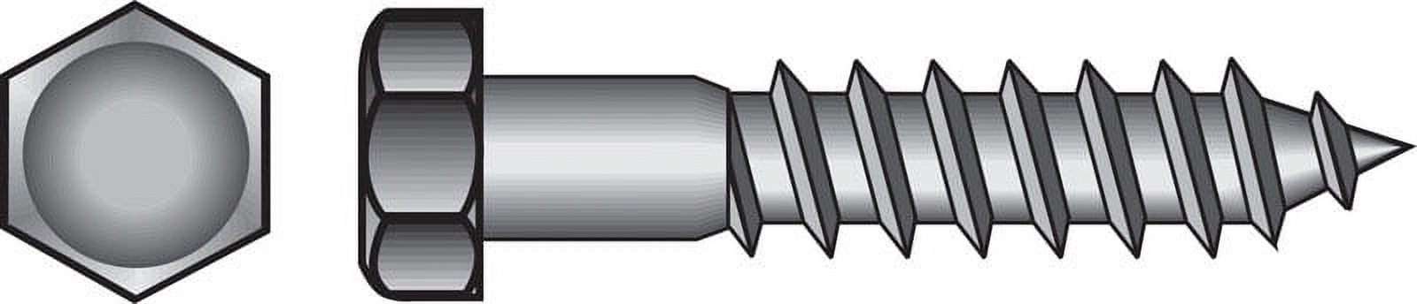 Hillman 1/4" Stainless Steel Hex Lag Screw