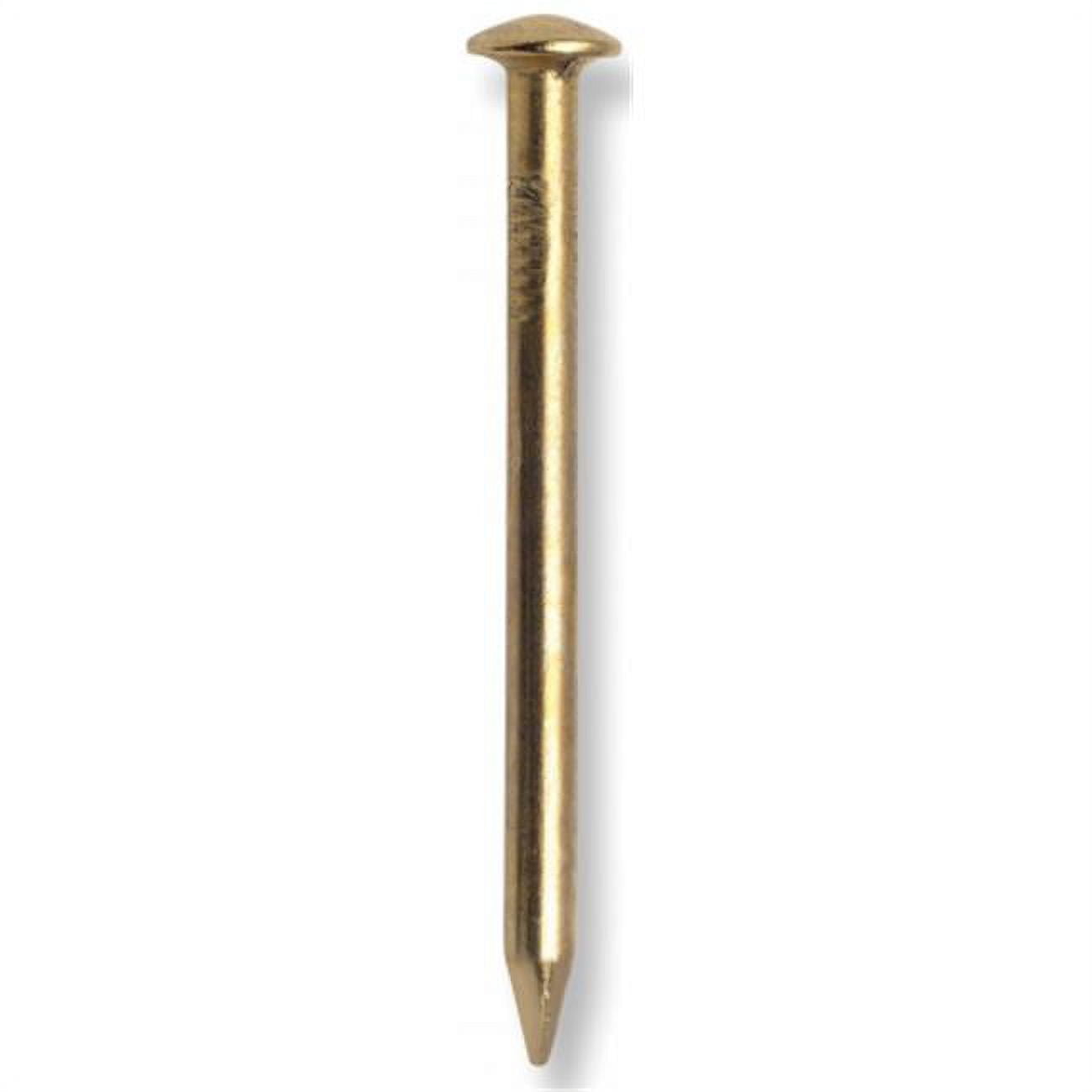 Hillman 3/4 in. Boat Bronze Steel Nail Flat Head 2 oz Hillman 3/4 in. Boat Bronze Steel Nail Flat Head 2 oz