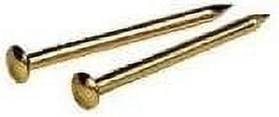 Hillman 16 Ga. X 1 in. L Brass-Plated Steel Escutcheon Pins 1 pk 1.5 oz Hillman 16 Ga. X 1 in. L Brass-Plated Steel Escutcheon Pins 1 pk 1.5 oz