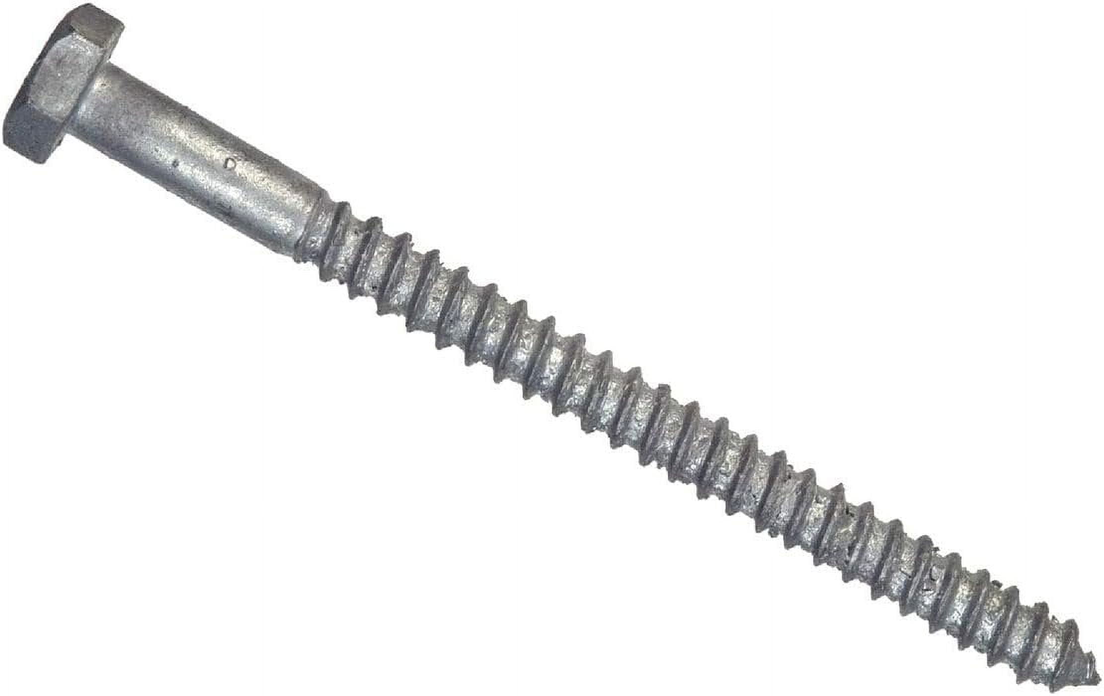 Hillman 5/16 in. D X 3-1/2 in. L Hot Dipped Galvanized Steel Hex Bolt 50 pk Hillman 5/16 in. D X 3-1/2 in. L Hot Dipped Galvanized Steel Hex Bolt 50 pk
