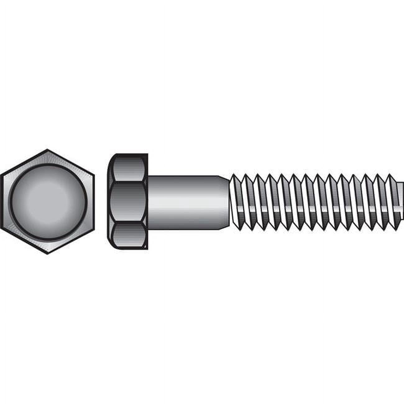 Hillman 59152 0.25-20 x 4.5 in. Hex Head Cap Screw, Stainless Steel ...