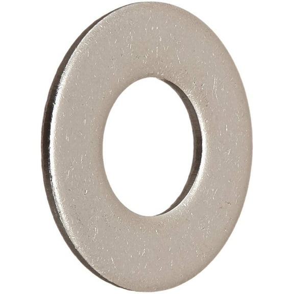 Hillman Stainless Steel Flat Washer - 5/16 In, 100-Pack, Silver