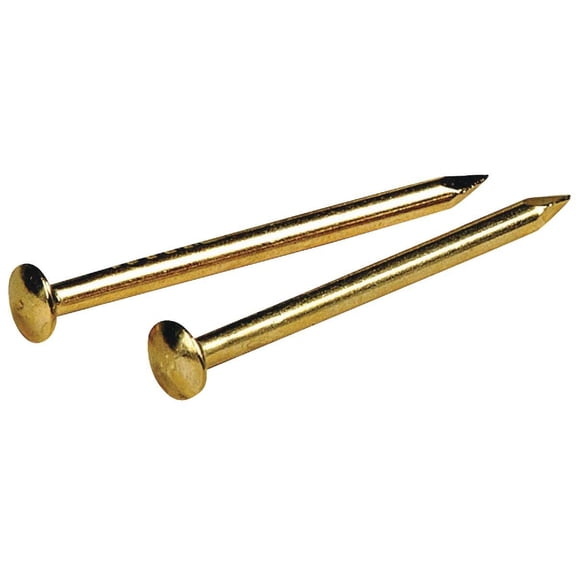 Hillman Escutcheon Pins Brass Plated Steel - 16 Gauge - 6 Pack, 1 In., Gold