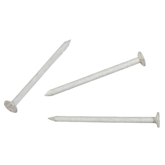 Hillman Trim Nail Wall Trim Nail - Stainless Steel - 1-1/4 In, White, 6 Oz
