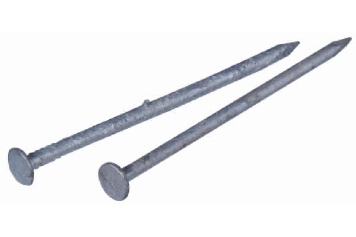 Hillman Fasteners 461284 Galvanized Common Nails, 3" x 10D, 5 Lb, Each