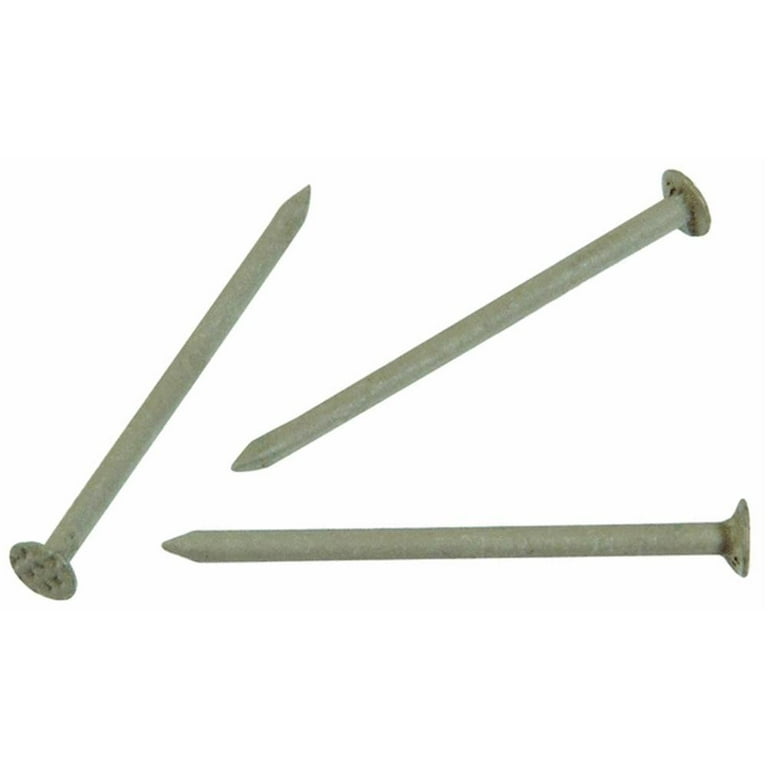 Hillman 1-1/4 in. Soffit and Trim Stainless Steel Nail Flat Head Hillman 1-1/4 in. Soffit and Trim Stainless Steel Nail Flat Head