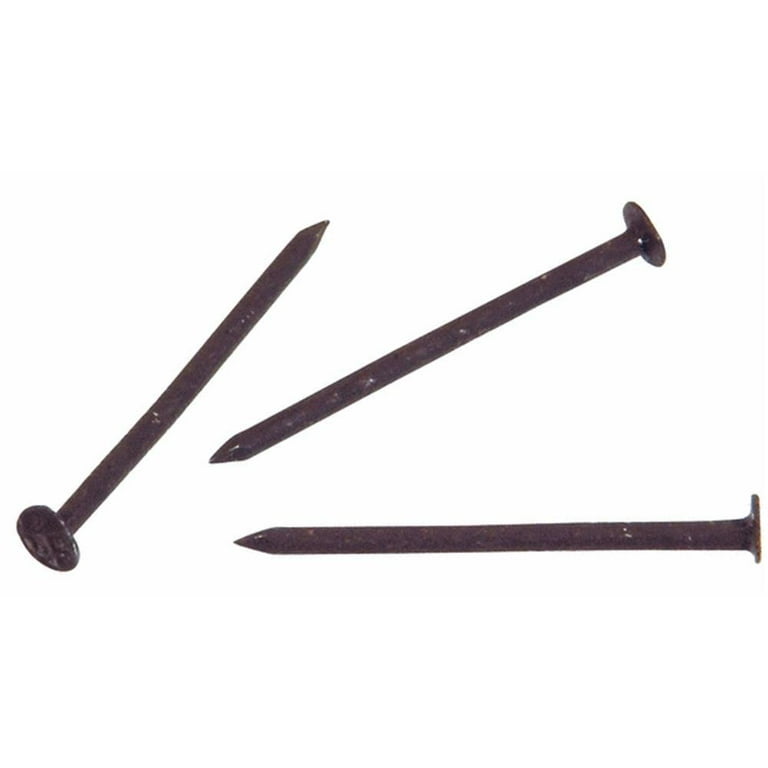 Hillman 1-1/4 in. Soffit and Trim Stainless Steel Nail Flat Head Hillman 1-1/4 in. Soffit and Trim Stainless Steel Nail Flat Head