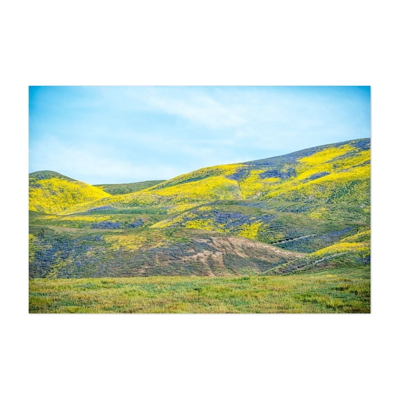 Hills in Bloom - Santa Margarita California Photography Unframed Wall Art Print 24 x 36 inches