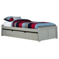 thumbnail image 1 of Hillsdale Furniture Pulse Twin Platform Bed with Trundle, Gray, 1 of 3