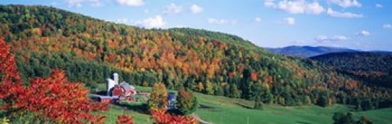 Hillside Acres Farm Barnet Vermont USA Canvas Art - Panoramic Images (36 x 12)