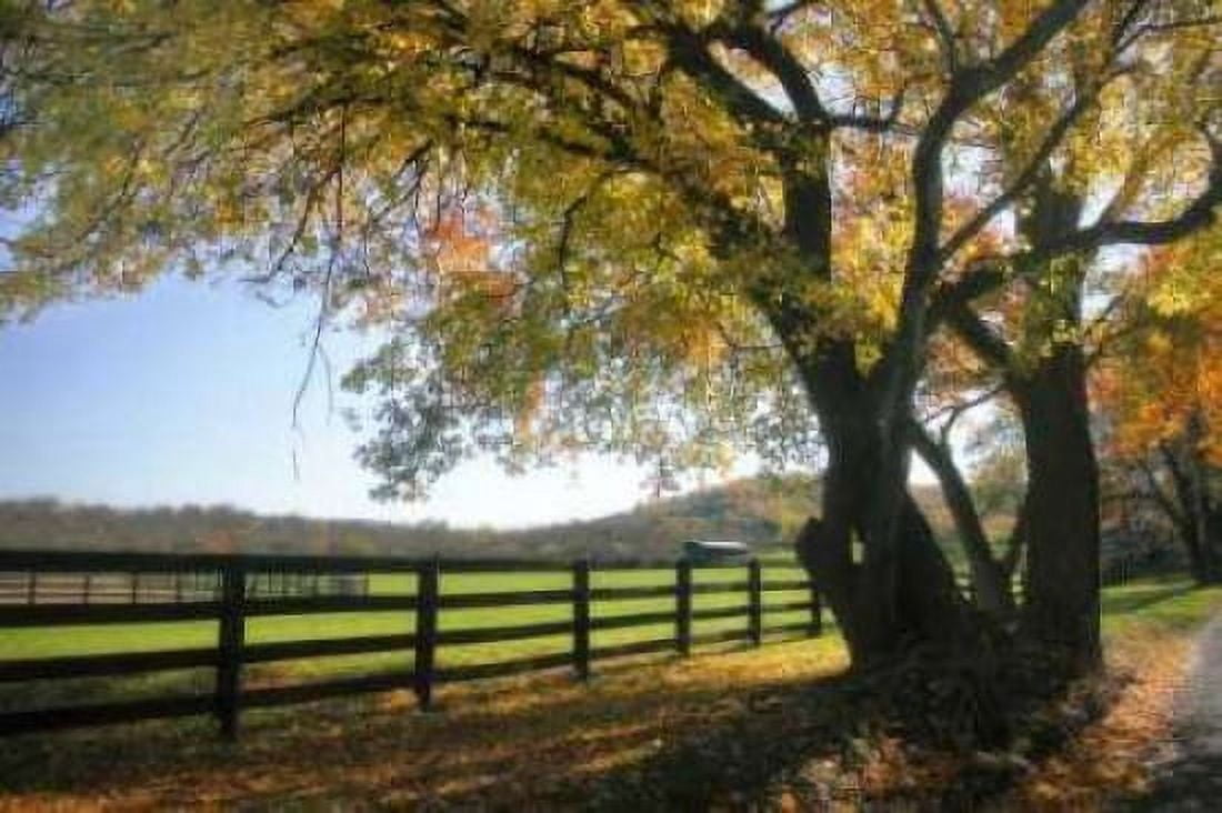 Hillside Farm I Canvas Art - Alan Hausenflock (20 x 28)