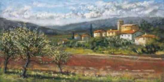 Hillside Olives Canvas Art - Malcolm Surridge (10 x 20)