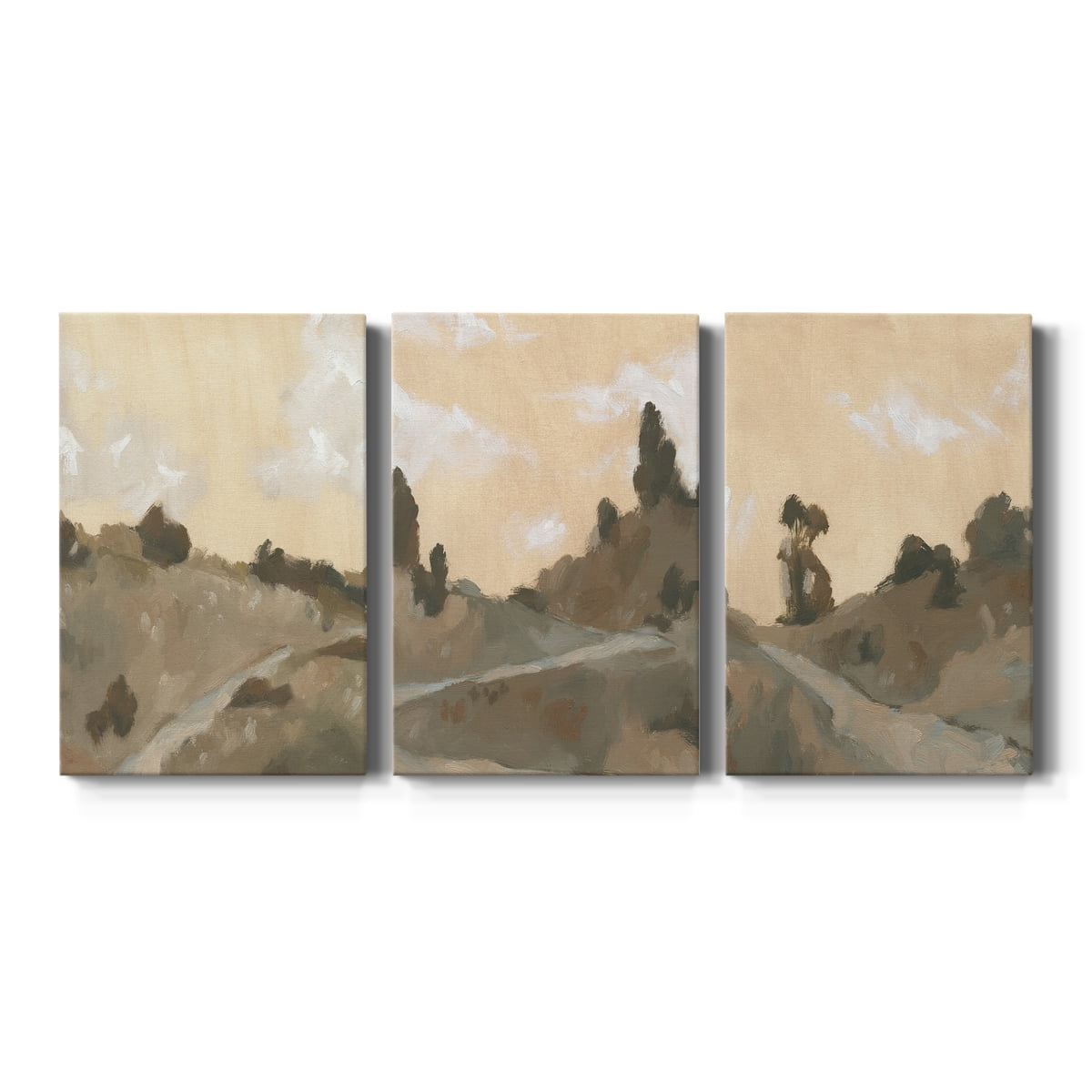 Hillside Walking Path IV Premium Gallery Wrapped Canvas - Ready to Hang - 24 x 36 Each