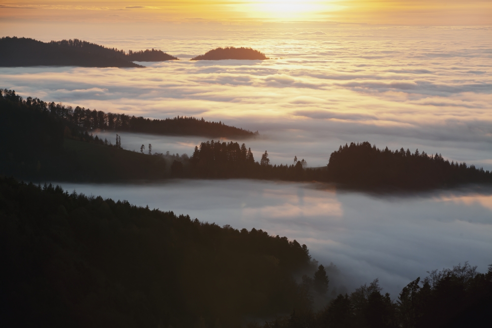Hillside and autumn fog near St Ulrich Black Forest Germany Canvas Art - Carl Bruemmer Design Pics (38 x 24)